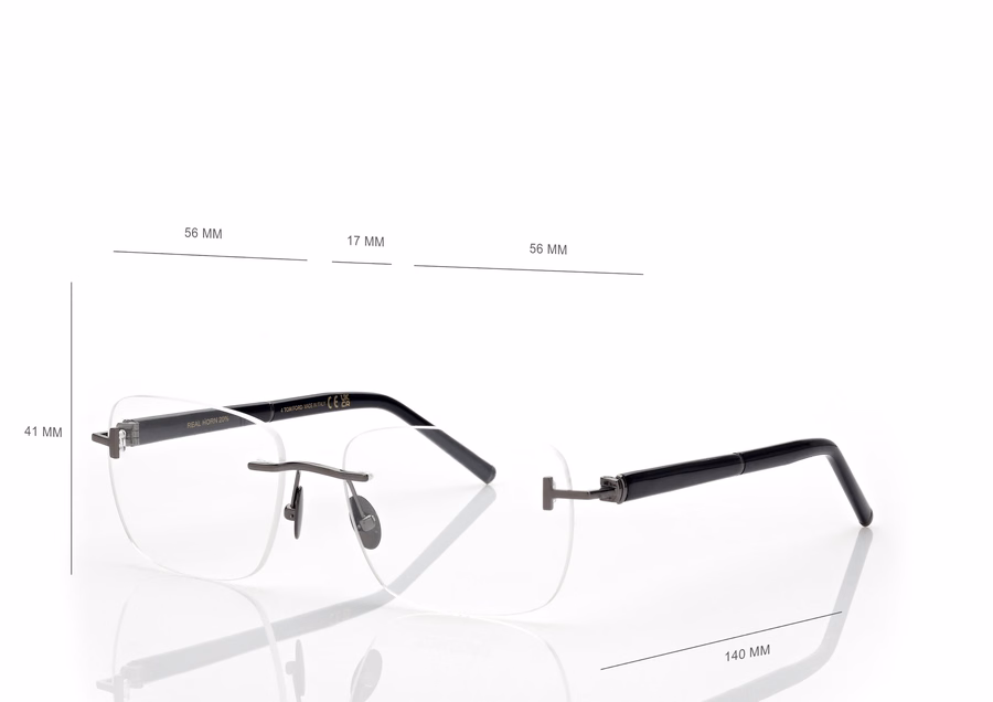 HORN AND TITANIUM RECTANGULAR OPTICALS