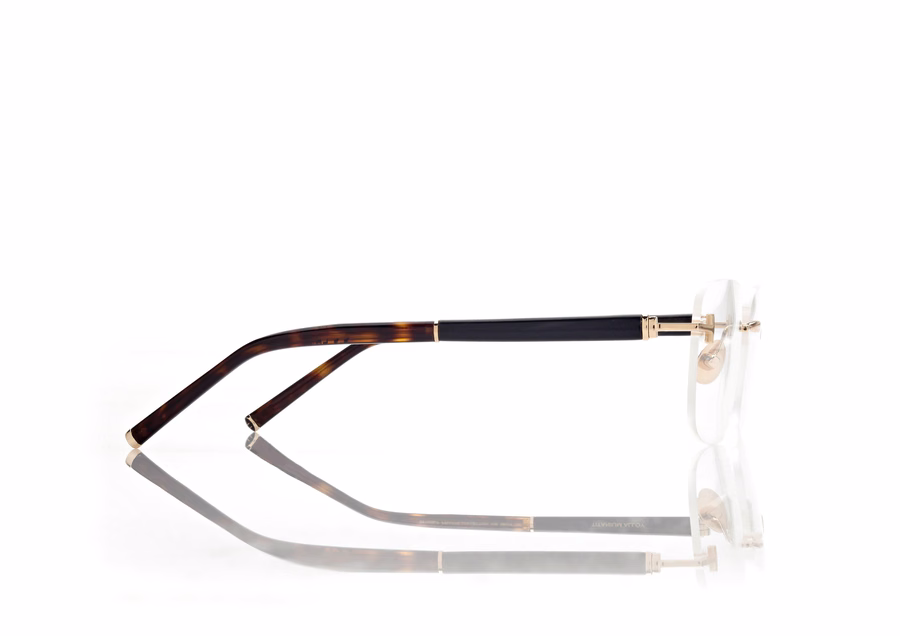 HORN AND TITANIUM RECTANGULAR OPTICALS