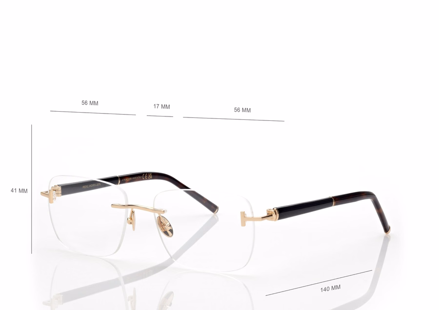 HORN AND TITANIUM RECTANGULAR OPTICALS
