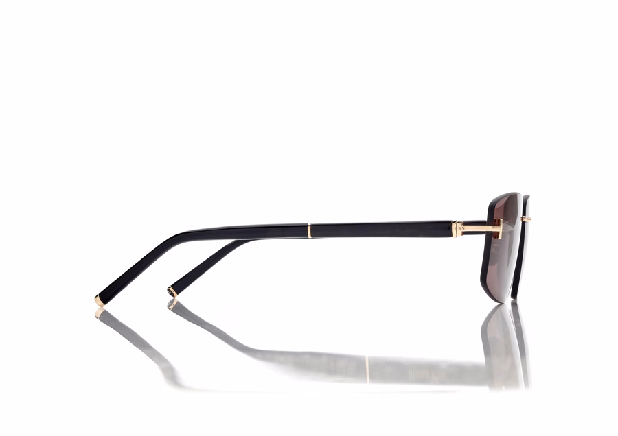 SQUARE TITANIUM AND HORN SUNGLASSES