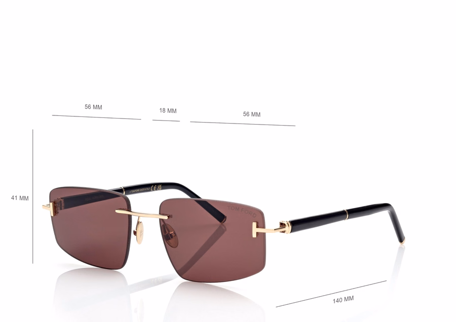 SQUARE TITANIUM AND HORN SUNGLASSES